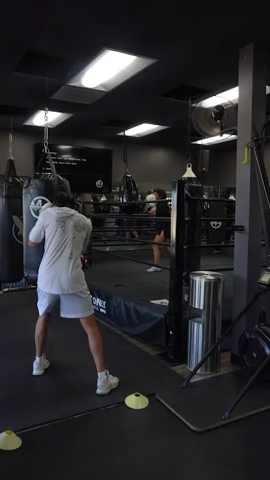Members Only Boxing & Fitness Picture 2