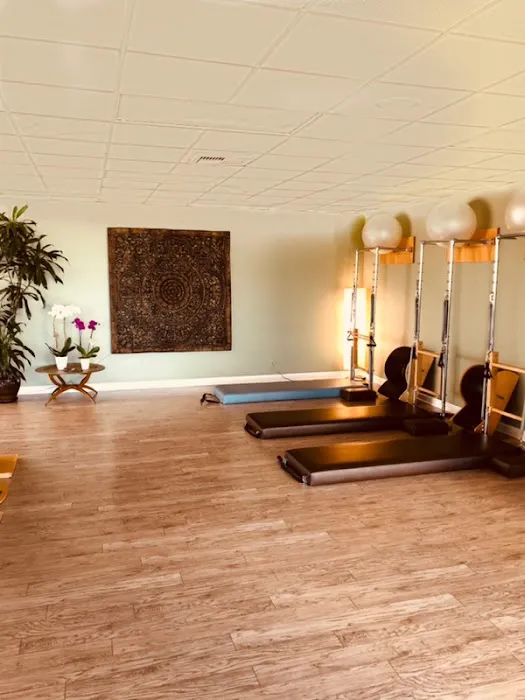 My Pilates Body Picture 1