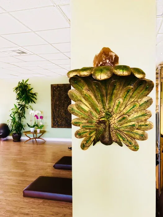 My Pilates Body Picture 3