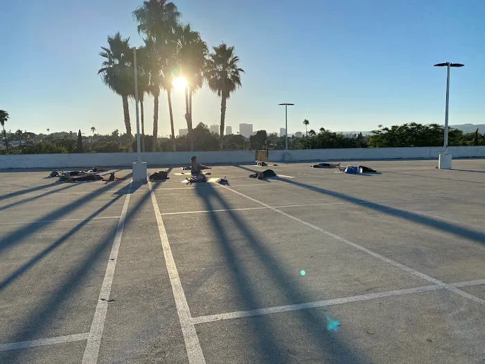 Red Diamond Yoga Palms Picture 5