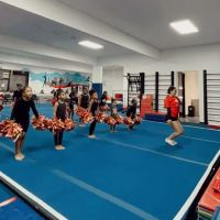 Beverly Hills Gymnastics Center ico