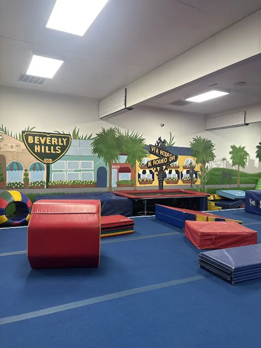 Beverly Hills Gymnastics Center Picture 7