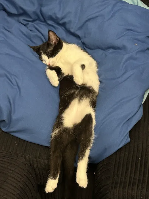 Oblix Studio Picture 1