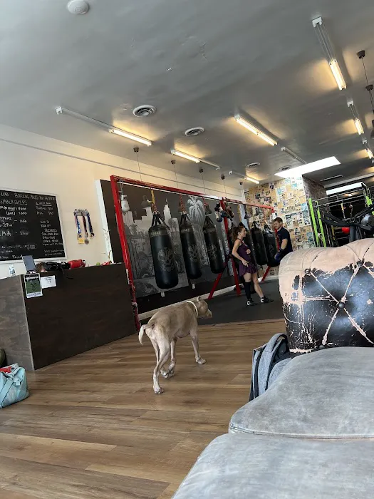 Lobos Boxing Club Picture 5