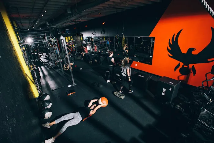 The Phoenix Effect Picture 1