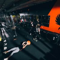 The Phoenix Effect ico