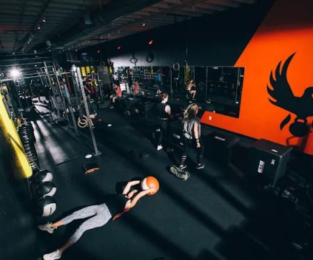 The Phoenix Effect