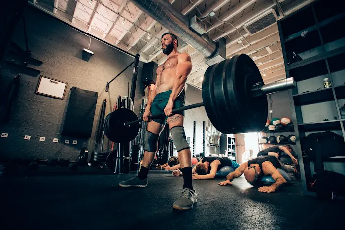 The Phoenix Effect Picture 2