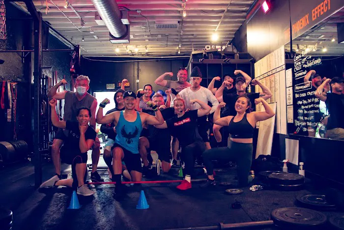 The Phoenix Effect Picture 3