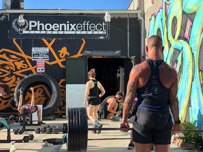 The Phoenix Effect Picture 10