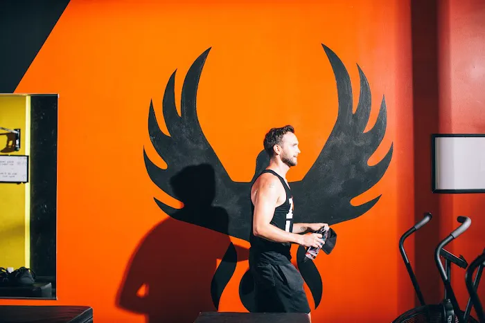 The Phoenix Effect Picture 5