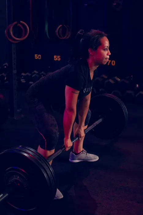 The Phoenix Effect Picture 8