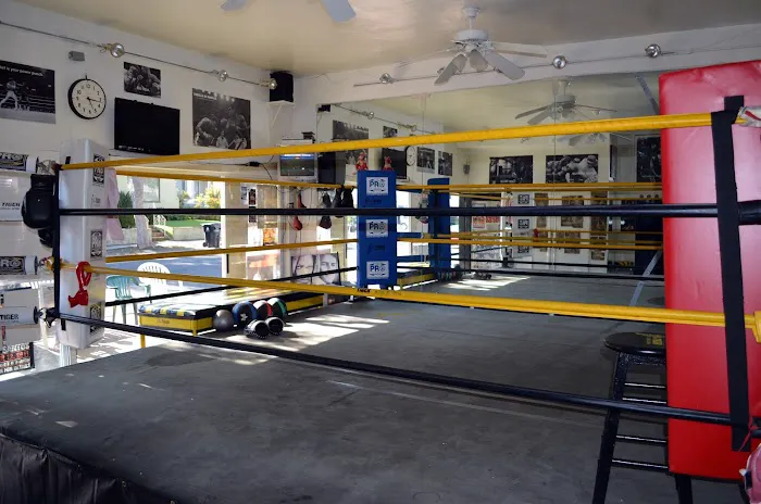 Tiger Boxing Gym Picture 6
