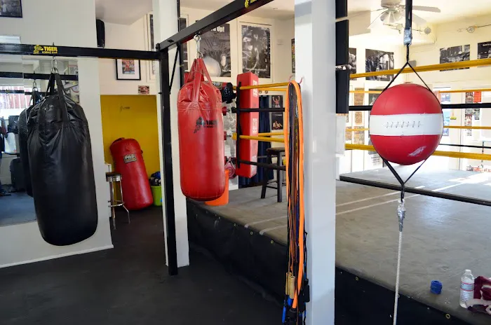 Tiger Boxing Gym Picture 4