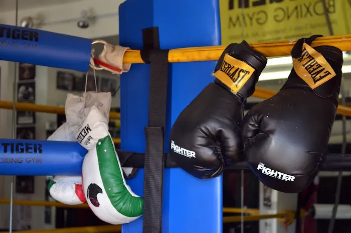 Tiger Boxing Gym Picture 2