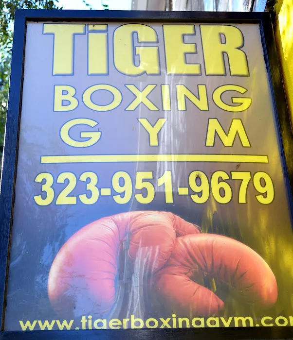 Tiger Boxing Gym Picture 7
