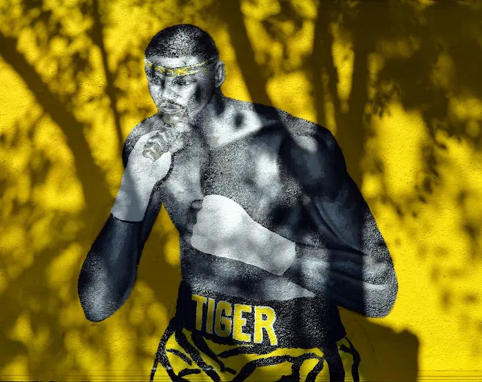 Tiger Boxing Gym Picture 8