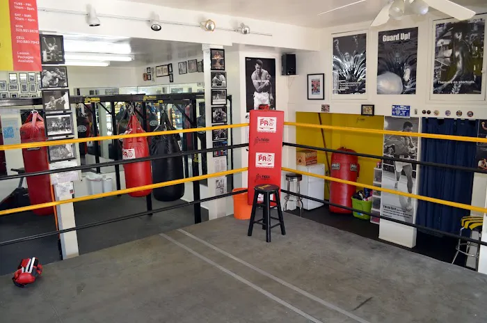 Tiger Boxing Gym Picture 5