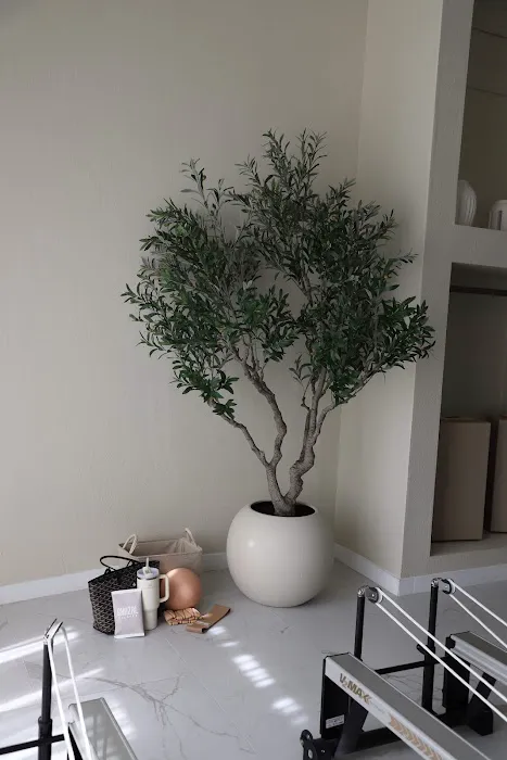 Ghazal Pilates Picture 2