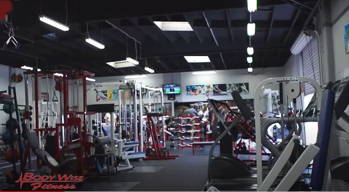 Body Wise Fitness Picture 8