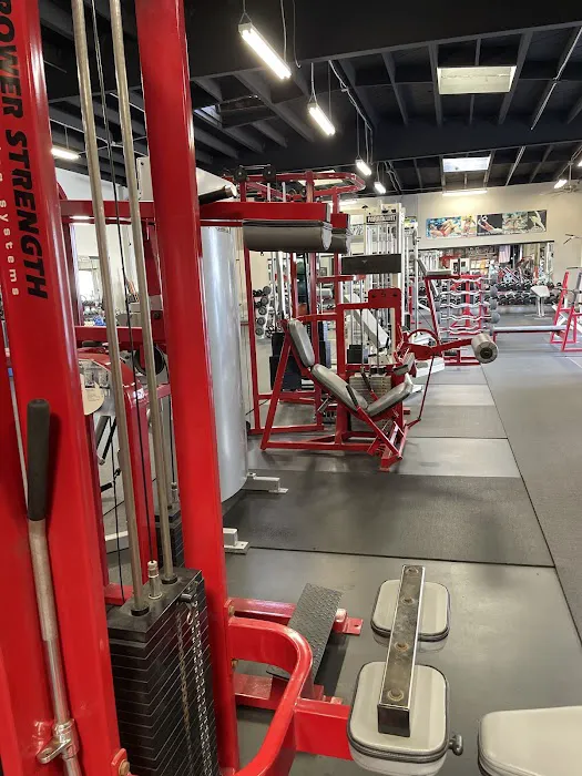 Body Wise Fitness Picture 9