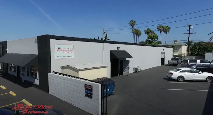 Body Wise Fitness Picture 6