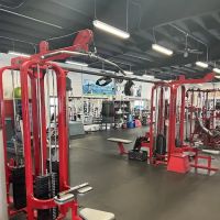 Body Wise Fitness ico