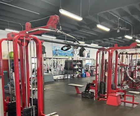 Body Wise Fitness