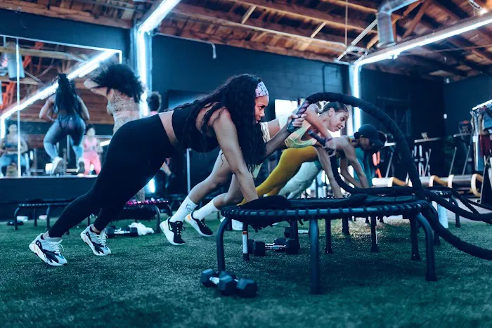 Trampoline TRIM Picture 6