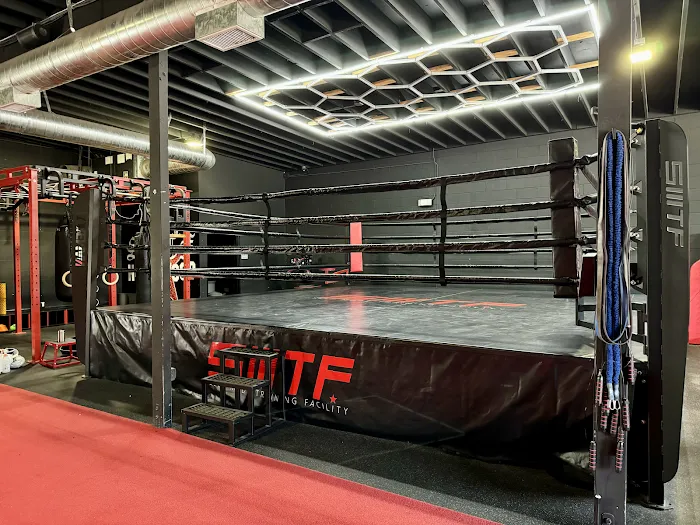 Dawg Mode Training Picture 4