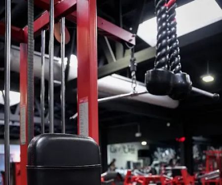 Self Made Training Facility Hollywood | Personal Fitness Center