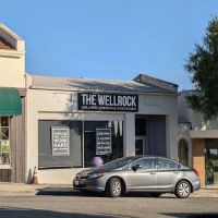 The WellRock ico