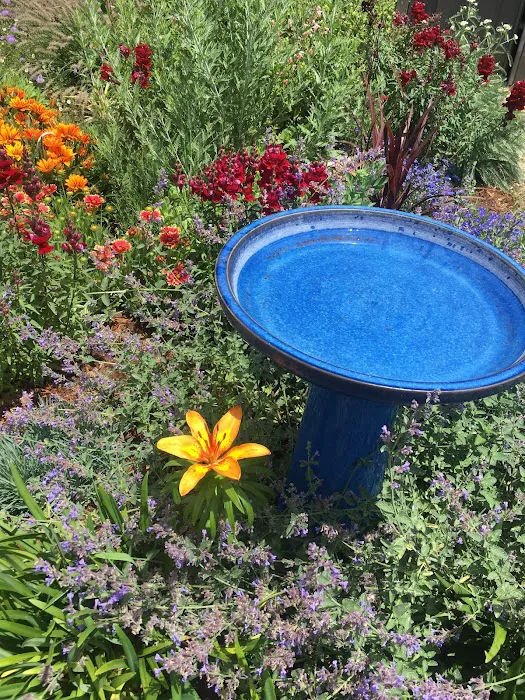 The Well: Pilates, Movement and Wellness with Sheetal Gandhi Picture 6