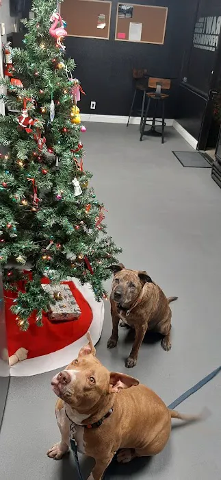 Raw Performance Picture 1