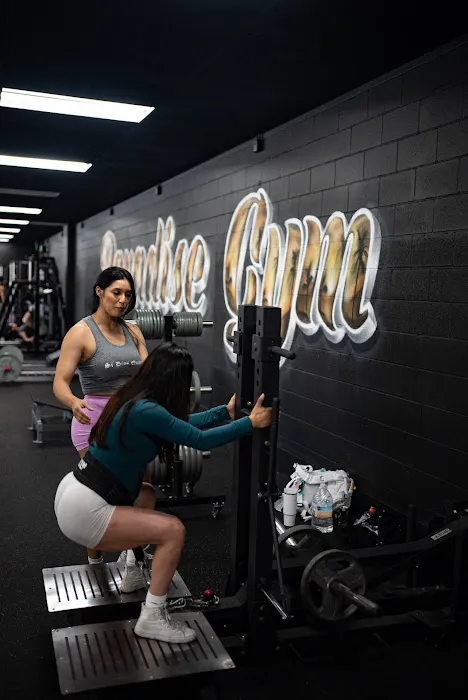 Paradise Gym Picture 5