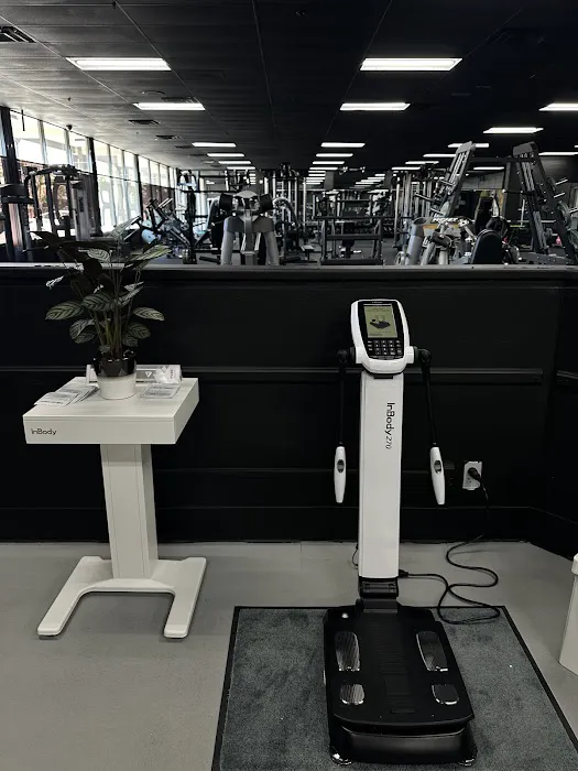 Paradise Gym Picture 8