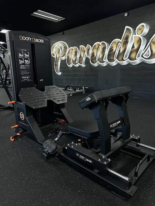 Paradise Gym Picture 6