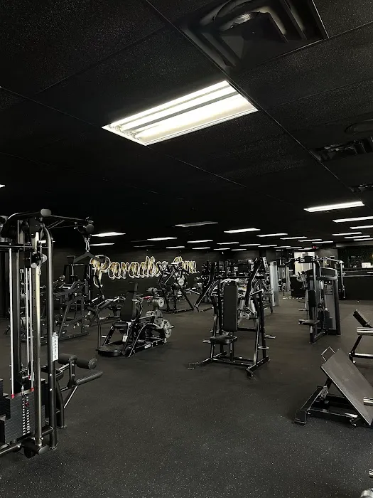 Paradise Gym Picture 10