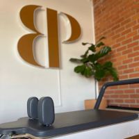 The Body Process ico