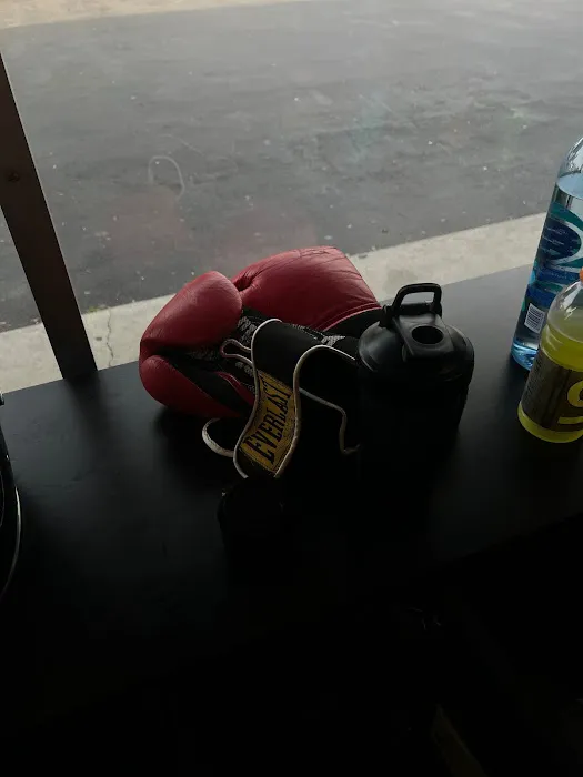 The Punch Club LA Picture 3