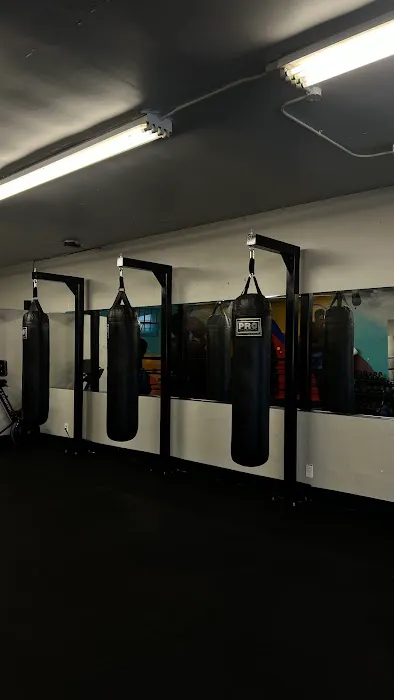 The Punch Club LA Picture 2