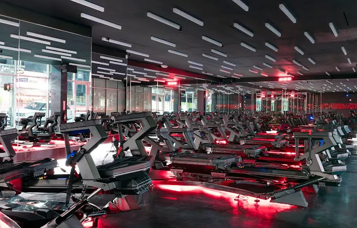 The Megaformer Studio Picture 6