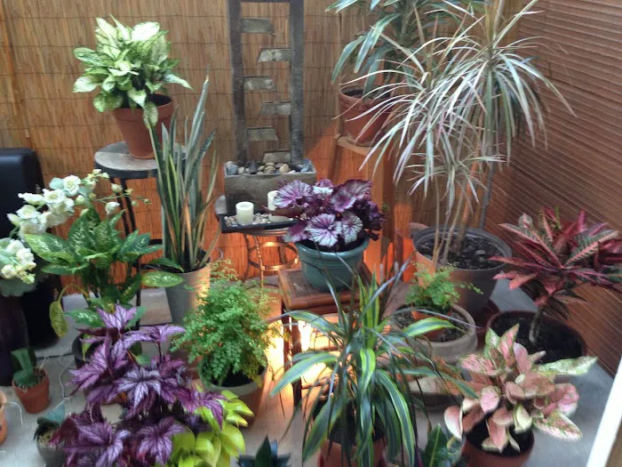 West LA Pilates Picture 6