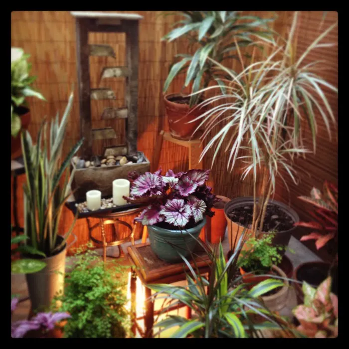 West LA Pilates Picture 5