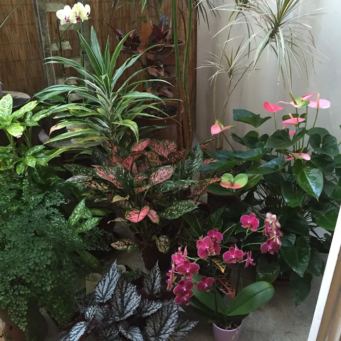 West LA Pilates Picture 8