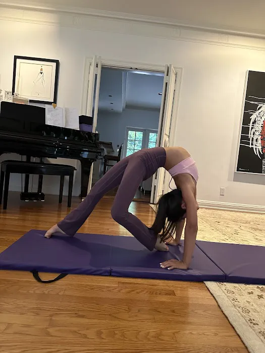 Stretchology Beverly Hills Picture 6