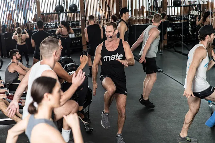 Training Mate West Hollywood Picture 8