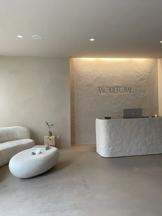 Anodetome Studio Picture 4