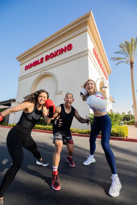 Rumble Boxing Picture 6