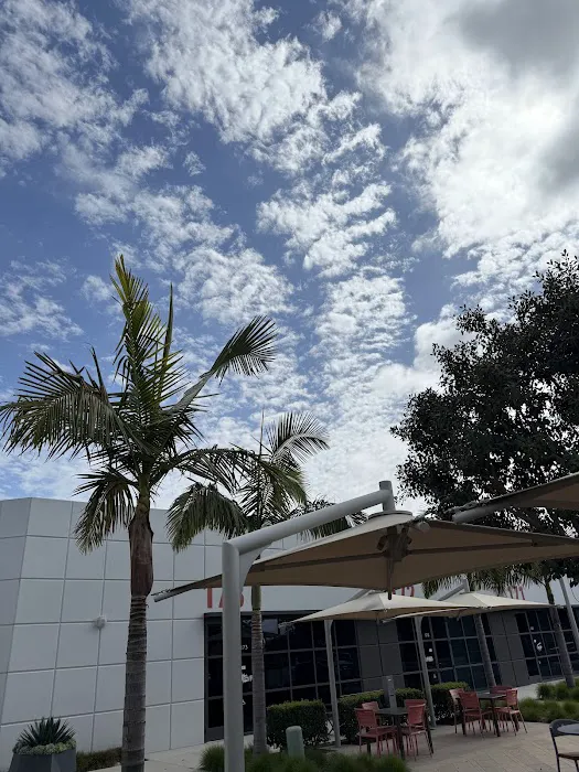 VALUMOMENT PRO 高光时刻旗舰店 Picture 1